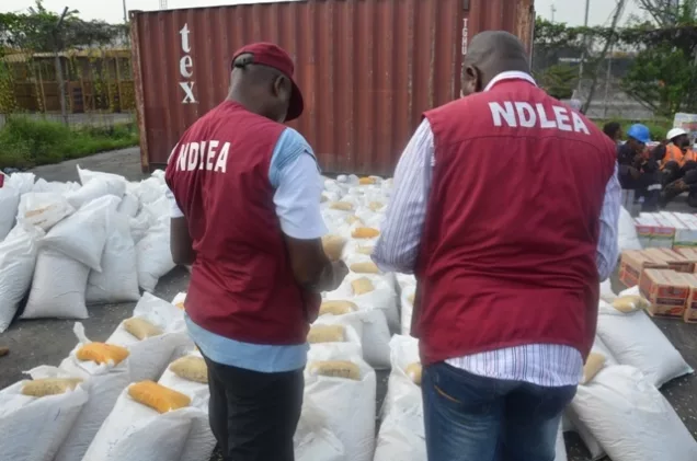 Kaduna: NDLEA Seizes 13.6 Tonnes of Illicit Substance, Arrests 1,005 Suspects in 2023