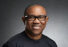 Investment in Agriculture Panacea to Insecurity, Poverty – Obi