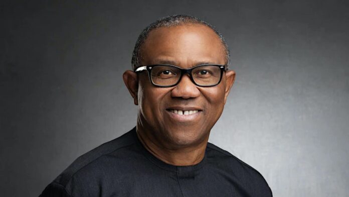 Investment in Agriculture Panacea to Insecurity, Poverty – Obi