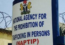 NAPTIP warns Nigerians against Fake Job Vacancies