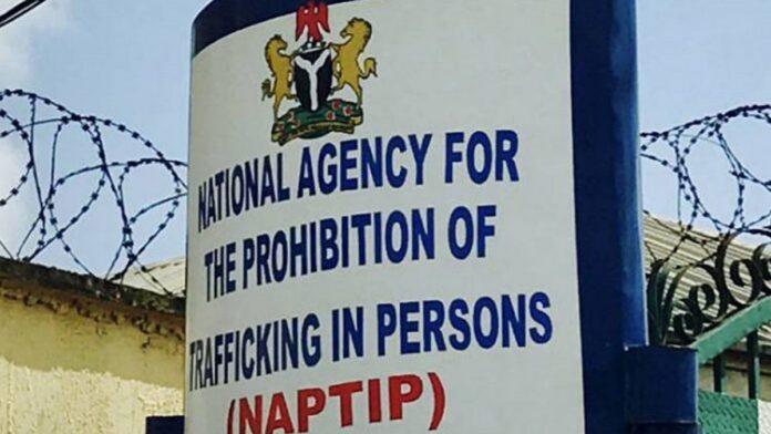 NAPTIP warns Nigerians against Fake Job Vacancies