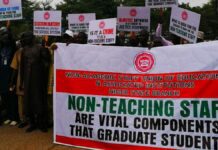 Withheld Salaries: SSANU Ends Warning Strike, to Review Situation