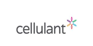 Cellulant Appoints Executives from Stripe, Interswitch to Drive Growth
