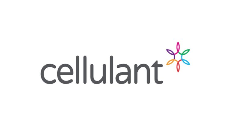 Cellulant Appoints Executives from Stripe, Interswitch to Drive Growth