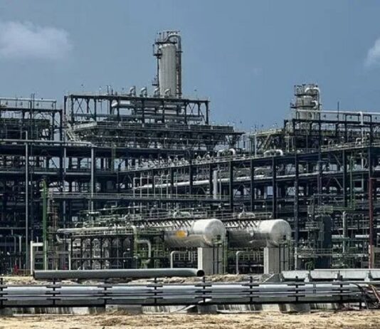Dangote refinery thirsty for crude but short on credit
