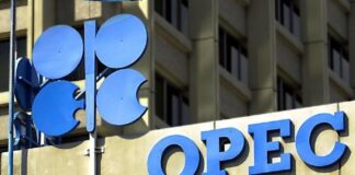 OPEC woos Namibia as African nation prepares to produce from 2030