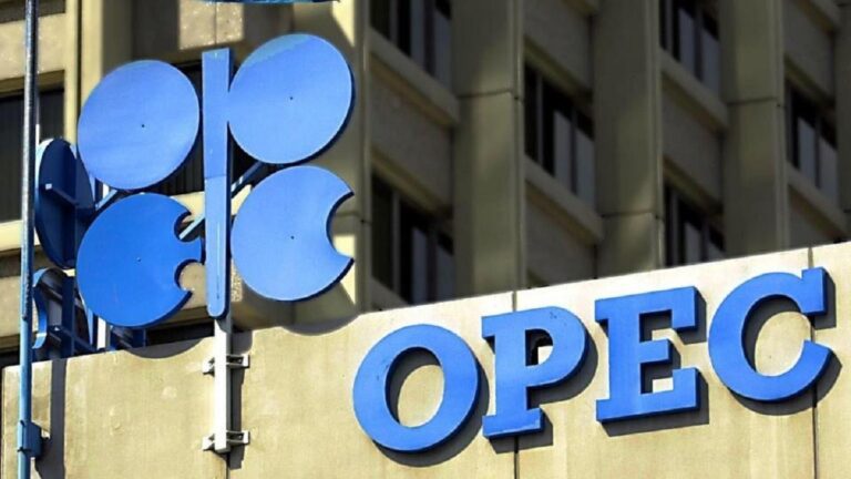 OPEC woos Namibia as African nation prepares to produce from 2030