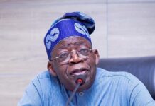 Tinubu appoints management team of Education Loan Fund