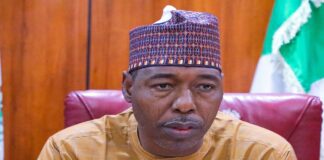 Zulum approves N1.3bn scholarship for 997 nursing, midwifery students
