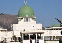 NASS Plans Investigative Summit on Aviation Sector
