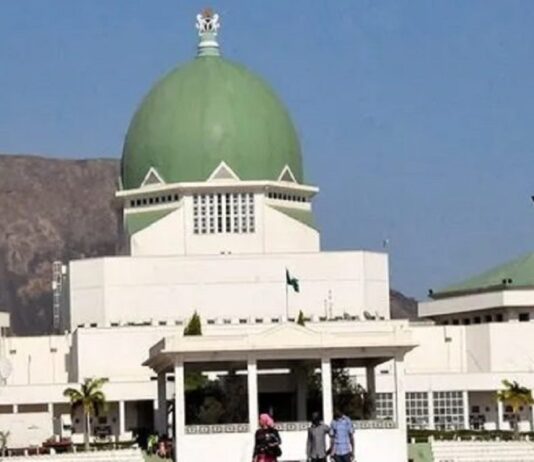 NASS Plans Investigative Summit on Aviation Sector