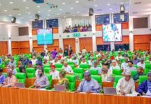 Reps Urge CBN to Halt Implementation of Cyber Security Levy