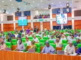 Reps Urge CBN to Halt Implementation of Cyber Security Levy